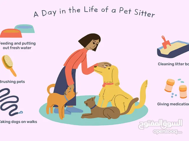 Pet Sitter service affordable price