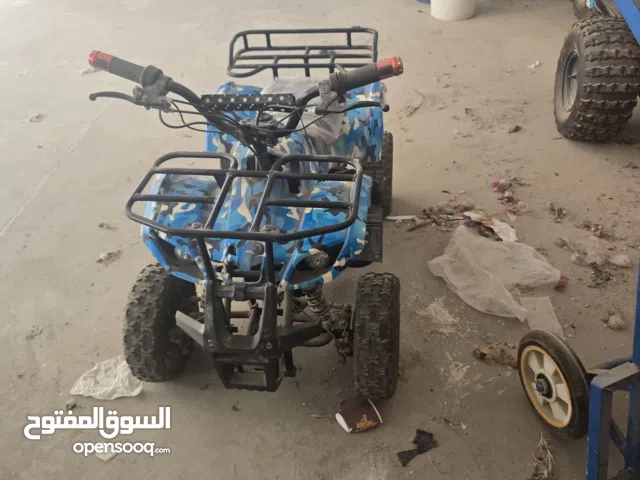 Quad bike 3 wheel & WildForce 49 – 49cc Mini Farm Quad Bike for Kids!