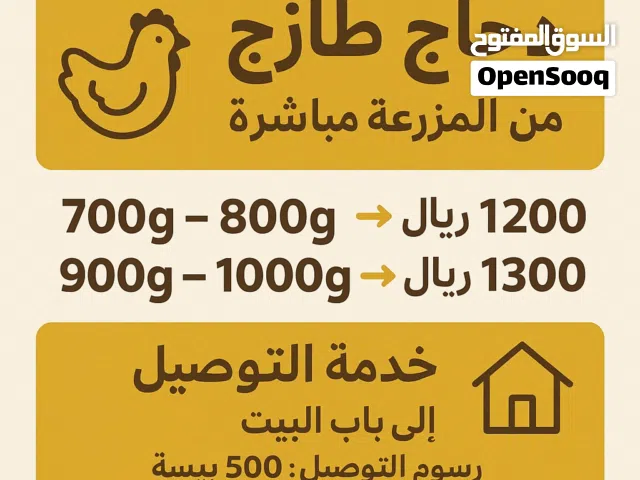 دواجن طازجه ذبح يومي