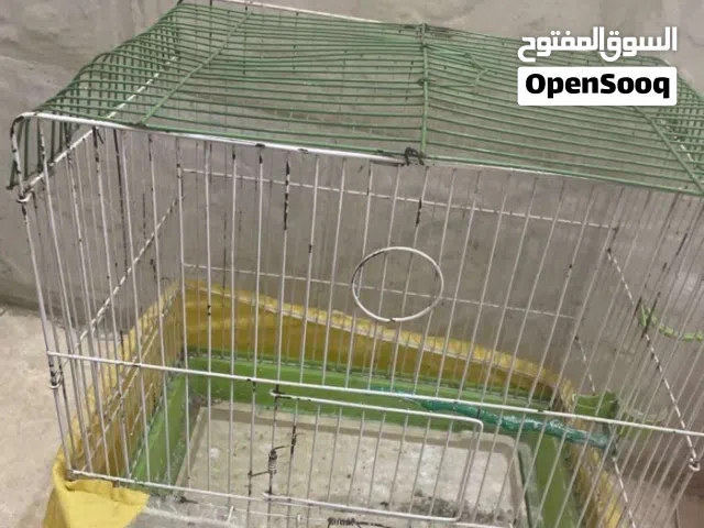 قفاص عصافير