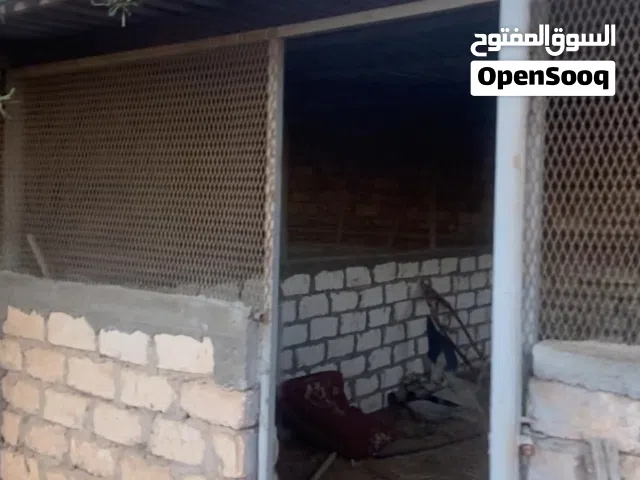 حديد مفصل للزاريب وقواعد تعليق أقفاص أرانب وغطاء زينقو وقربج ألمونيوم  + 5 طوبوات بيادجا