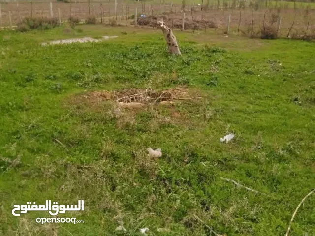 Residential Land for Sale in Tétouan Other