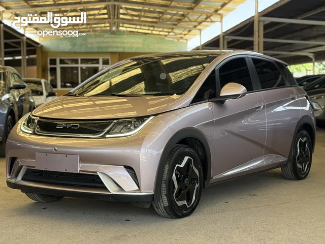 BYD DOLPHIN FASHION 2022