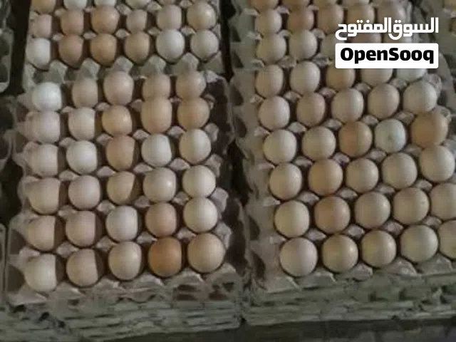 للحجز والبيع   بيض مخصب رومي وحبشي وفرنسي بيور ومهجن