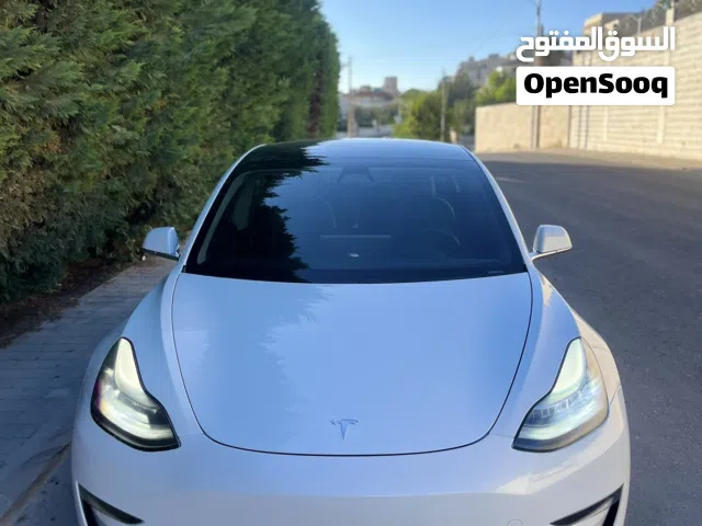 2019 تيسلا موديل 3 Standard Plus
