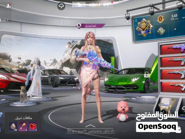 Pubg Accounts and Characters for Sale in Basra