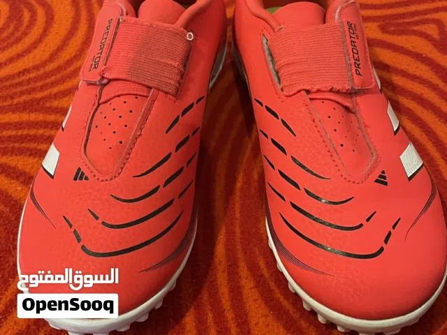 Adidas predator shoes in perfect condition for football حذاء اديداس بريديتر لكره القدم بحاله ممتازه