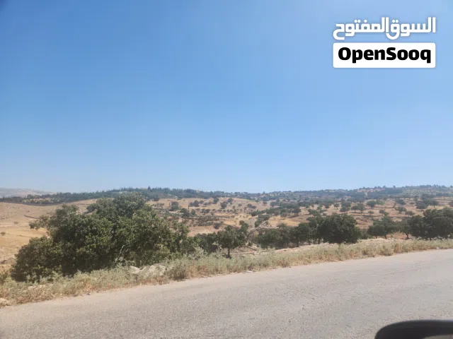 Residential Land for Sale in Amman Bilal