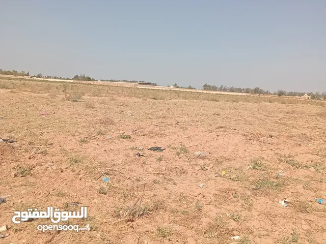 Farm Land for Sale in Giza 6th of October