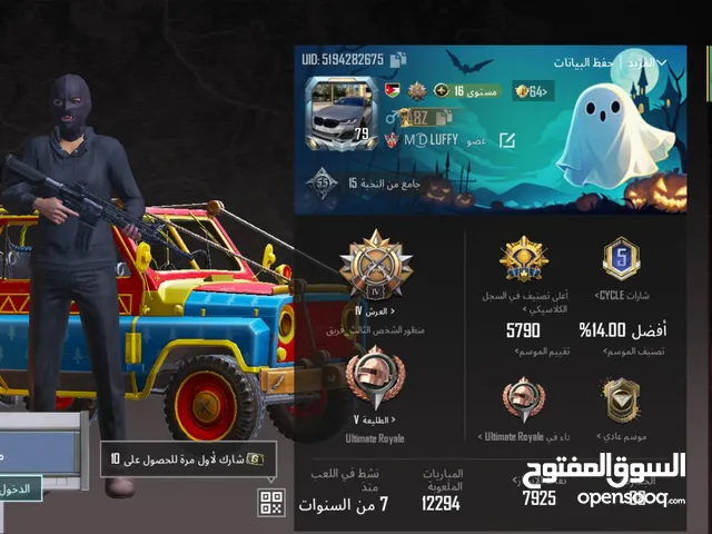 Pubg Accounts and Characters for Sale in Irbid