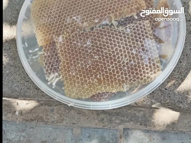 عسل برم 11/5/2025
