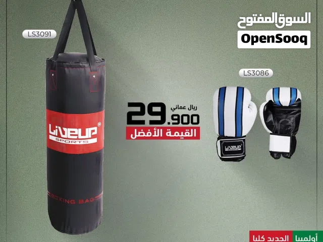 كيس الملاكمة