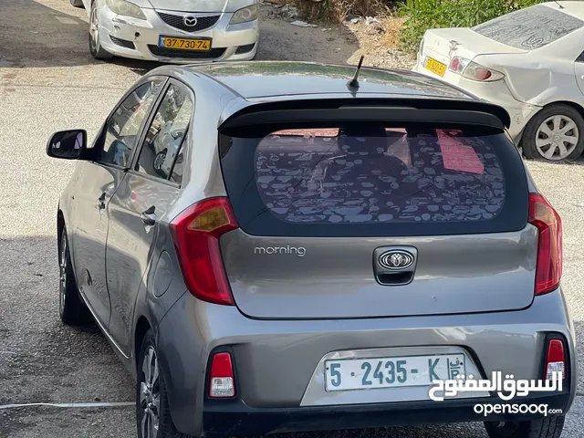 كيا بيكانتو ترخيص 2106 سعر حرق كاش 35500 كاش