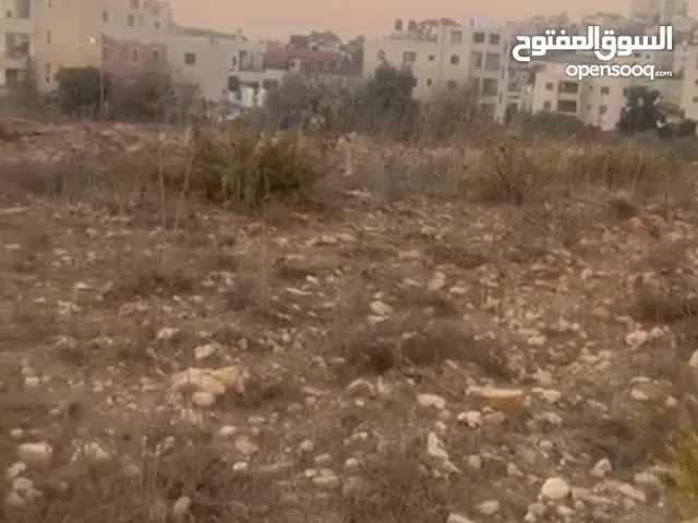 ارض للبيع في منطقه بيرزيت مساحه 6دونم كوشان طابو تصنيف الف