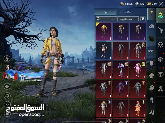 Pubg Accounts and Characters for Sale in Abu Dhabi
