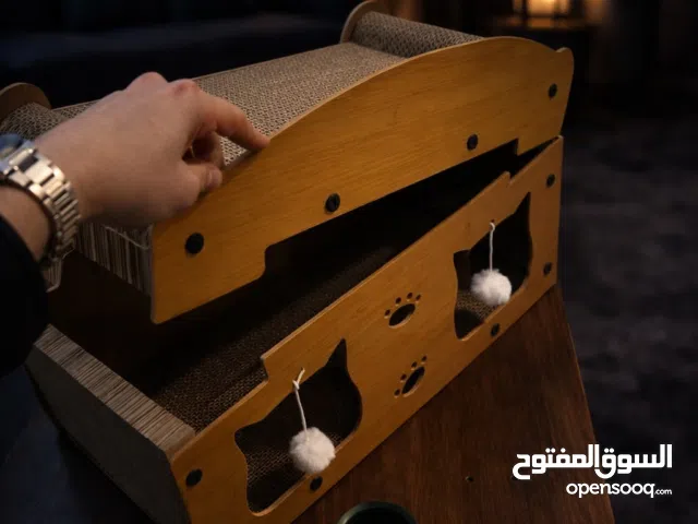 بيت قطط جديد