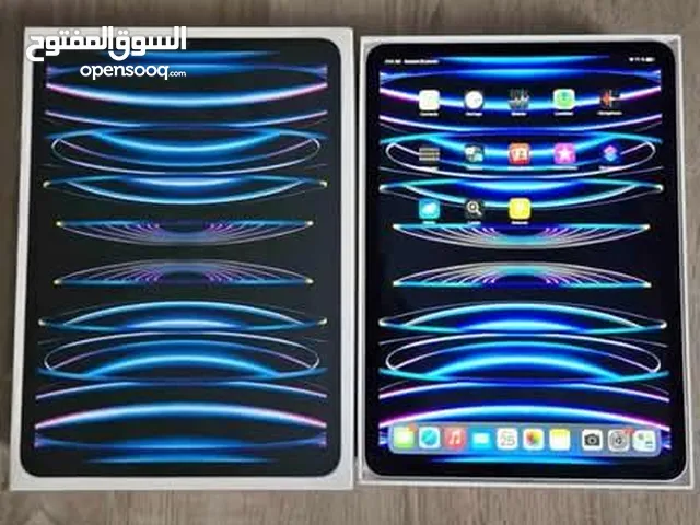 Ipad pro 11 M2