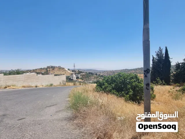 Residential Land for Sale in Amman Badr Jdedeh