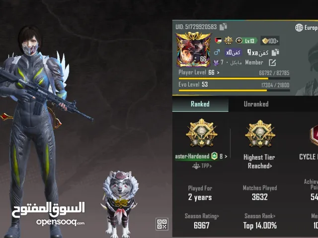 Pubg Accounts and Characters for Sale in Sana'a