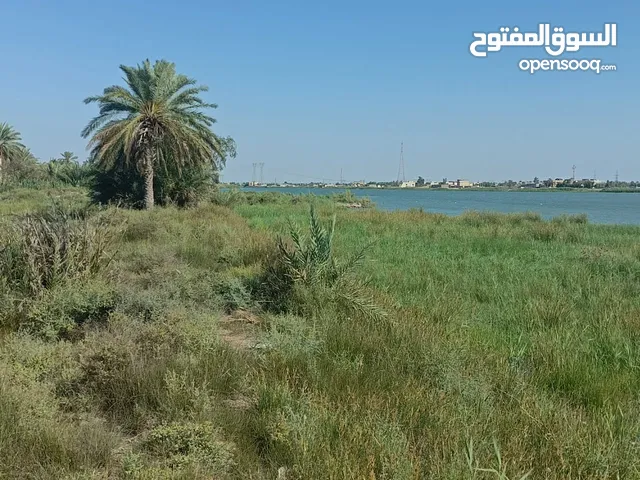 Mixed Use Land for Sale in Basra Al-Hartha