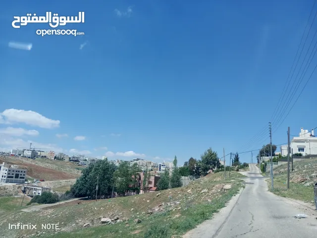 ارض للبيع 1 دونم غرب عمان الدمينة خلف الظهير وخلف مسجد العاشوري غرب عمان