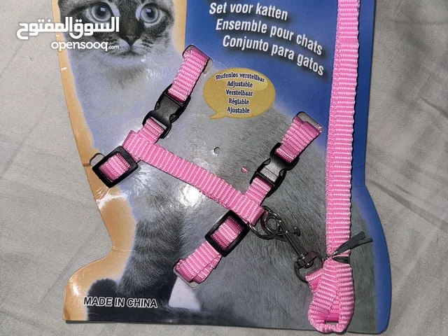 قطط  تركية وشيرازي وسكوتش أعمارهم من 3 اشهور الى 10 اشهور ذكور و ايناث للبيع بصحة جيدة مدربة رمال