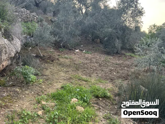 Residential Land for Sale in Tulkarm Ramin