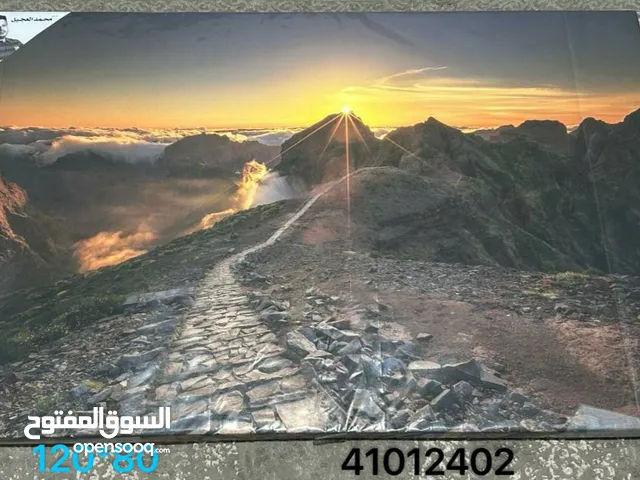 لوحات فنية جدارية