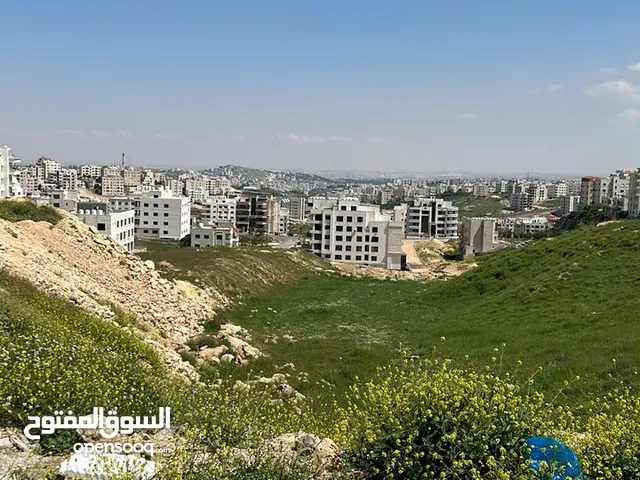 Residential Land for Sale in Amman Abu Nsair