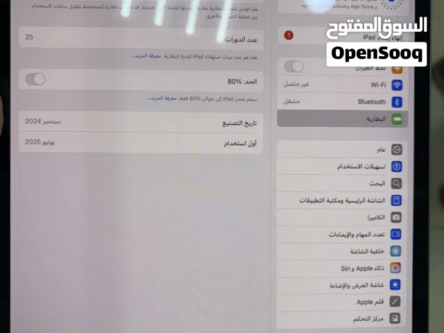 Apple iPad Pro 256 GB in Tripoli