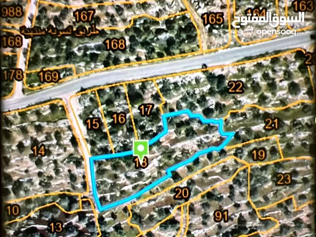 Mixed Use Land for Sale in Salfit Other