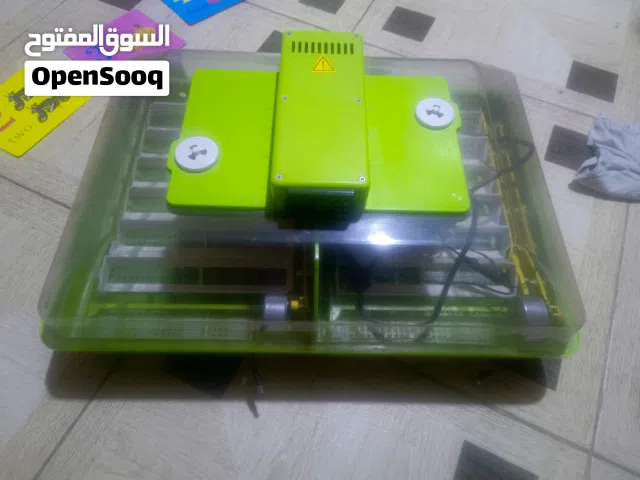 فقاسا جيموكا