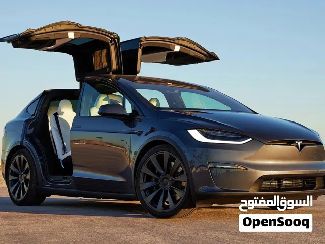 2021 Tesla Model X Plaid
