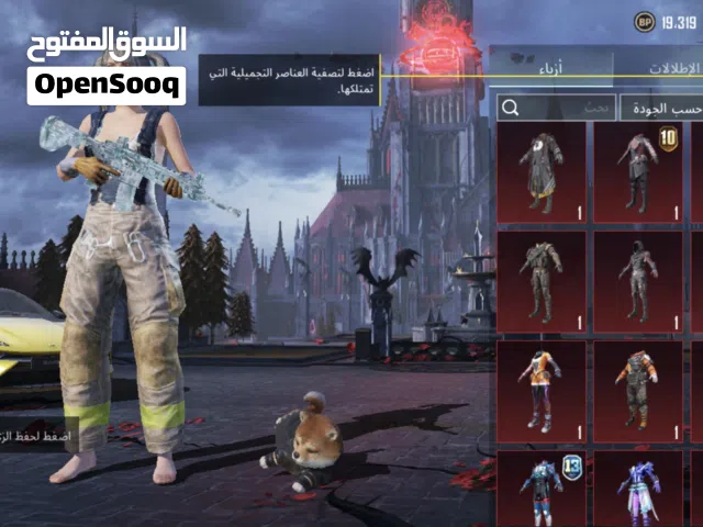Pubg Accounts and Characters for Sale in Irbid