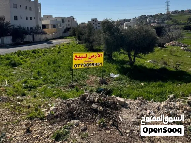 Residential Land for Sale in Amman Badr Jdedeh