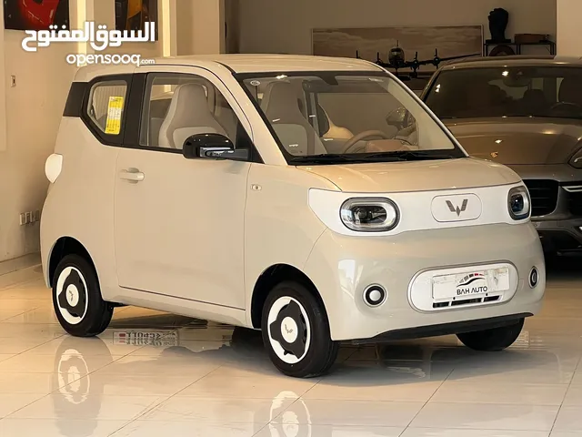 WULING MINI EV ELECTRIC CAR MODEL 2024 FOR SALE