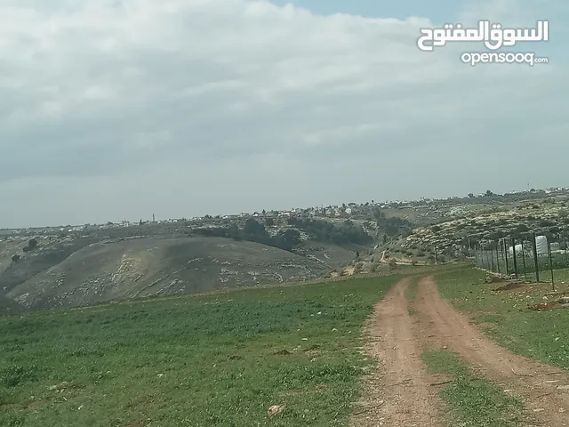 ارض سكنيه قرب مثلث حور فوعرا للبيع بسعر مغري