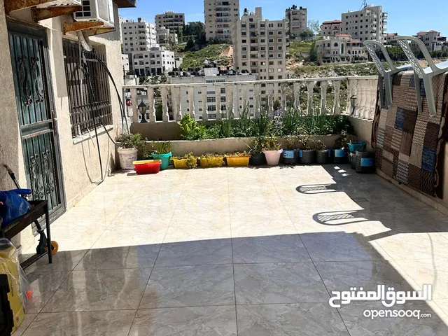 روفف فخر للبيعفي بتونيا