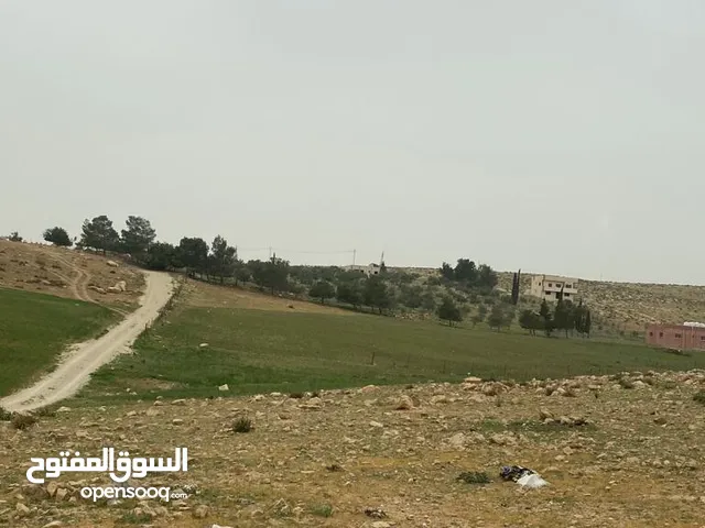 Farm Land for Sale in Madaba Dalilet Al-Hamaideh