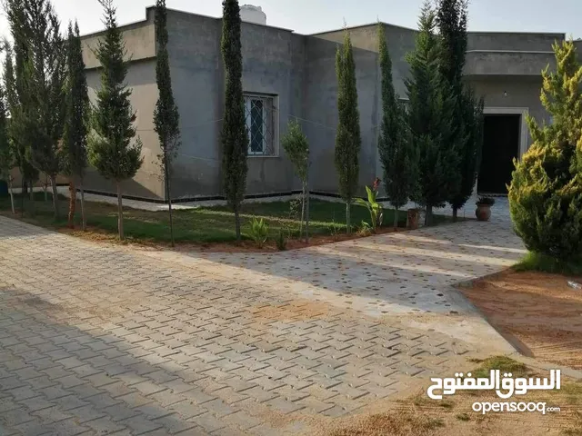 1 Bedroom Farms for Sale in Tripoli Tajura