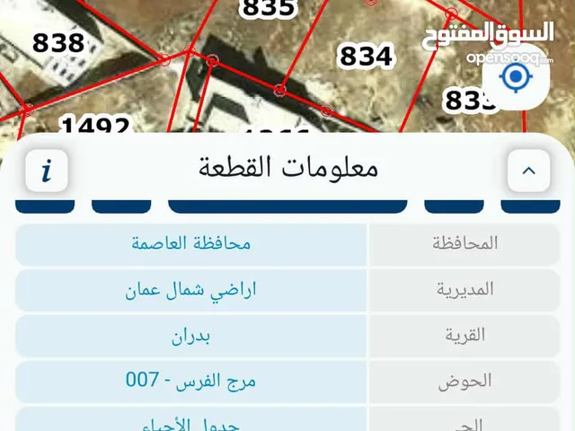 Residential Land for Sale in Amman Shafa Badran
