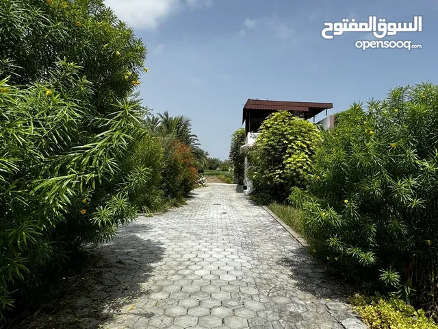 استراحة البيت الريفي في السويق