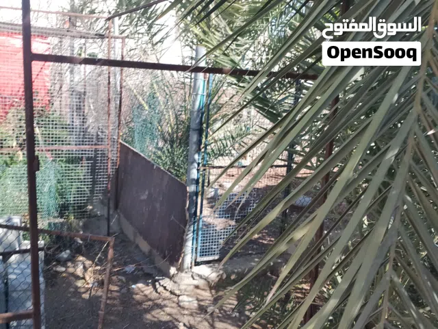 البيع قفص كبيرء لو