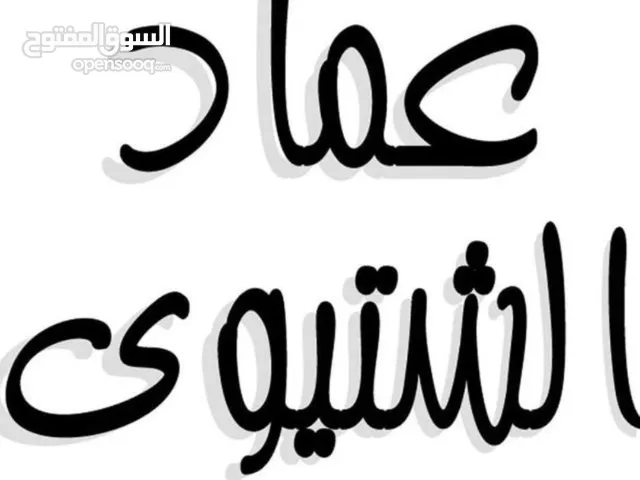 عماد عبد الخالق