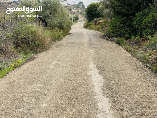 Farm Land for Sale in Salt Um Jozeh