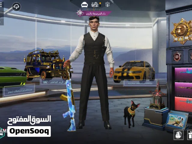 Pubg Accounts and Characters for Sale in Cairo