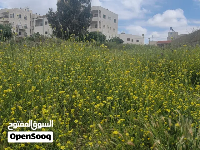 فرصة نادرة لعشاق الفخامة والهدوء  أرض مستوية بموقع استراتيجي في أبو السوس