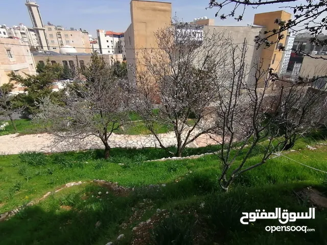 ارض للبيع في ضاحيه الياسمين خلف مسجد نابلس