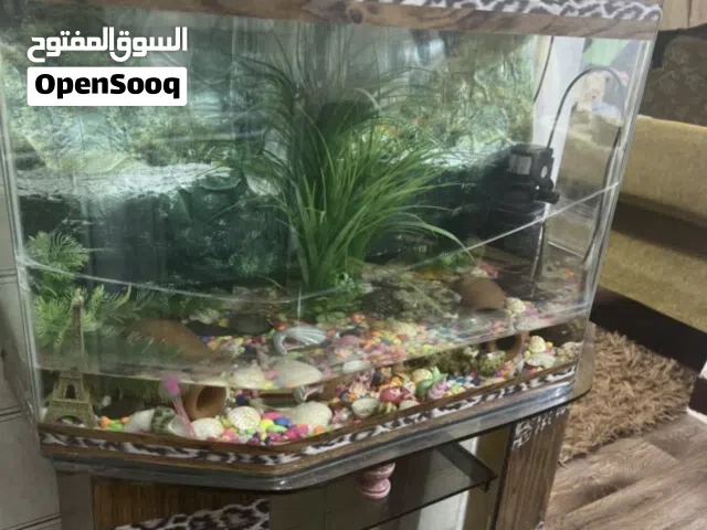 حوض السمك كامل مع القاعده ومع الاحجار داخل الحوض ومعاه اظاءه داخل الحوض بحالة الوكاله