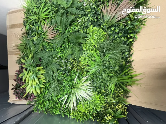 أشجار للزينه